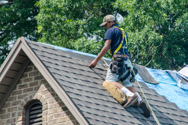 Best Storm Damage Roof Repair  in Falmouth, VA